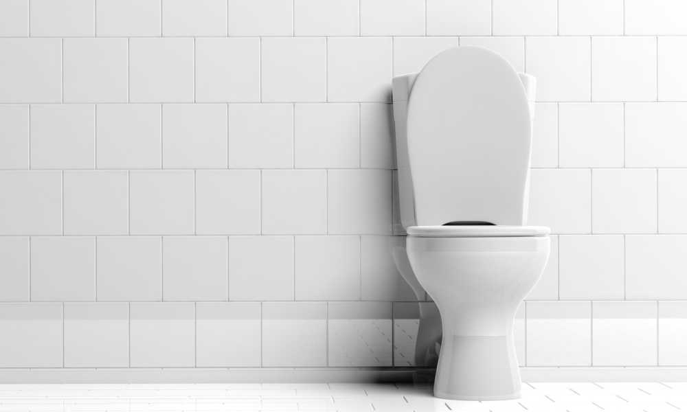 Kohler Brevia Quick Release Toilet Seat K47740 Project for Home